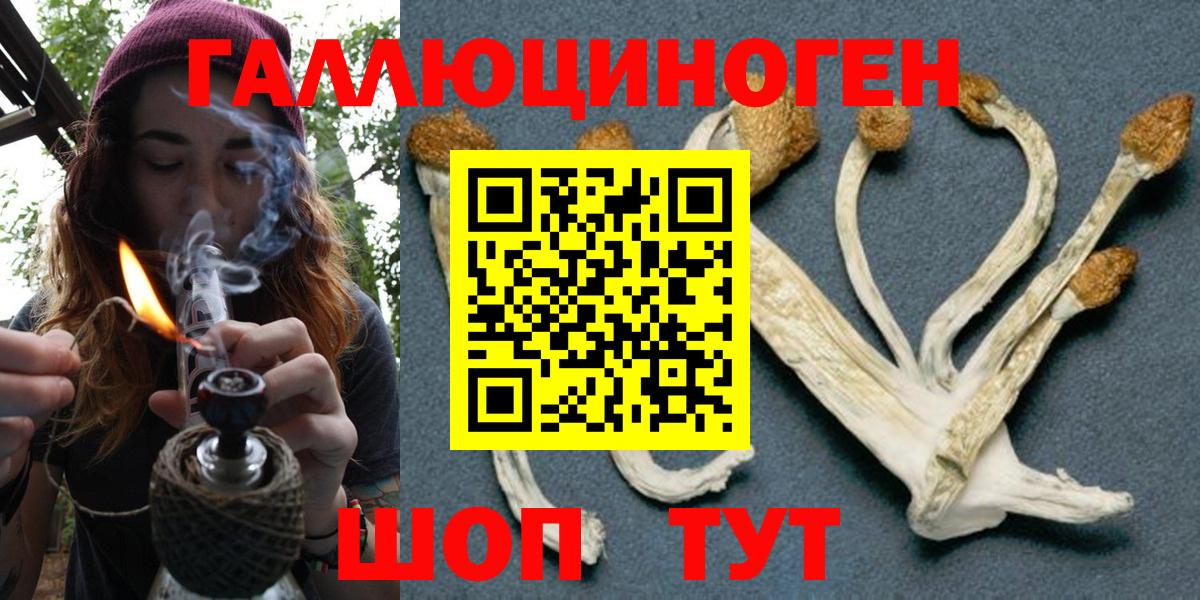 Галлюциногенные грибы Psilocybine cubensis  Вход с VPN  Челябинск  Псилоцибиновые грибы MAGIC MUSHROOMS 