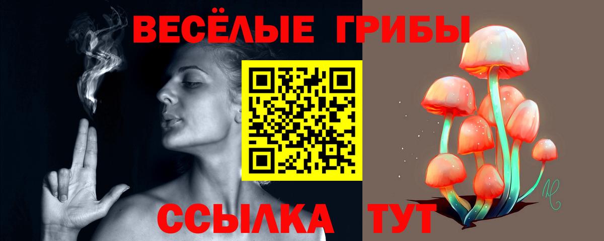 Галлюциногенные грибы Cubensis Челябинск